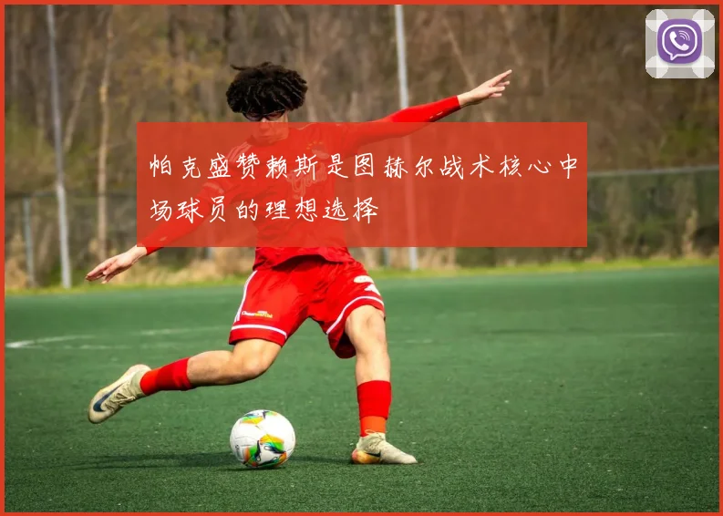 帕克盛赞赖斯是图赫尔战术核心中场球员的理想选择